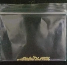 🥚50, FERTILIZED, monarch butterfly eggs. (Cleaned with 1/20 bleach solution)