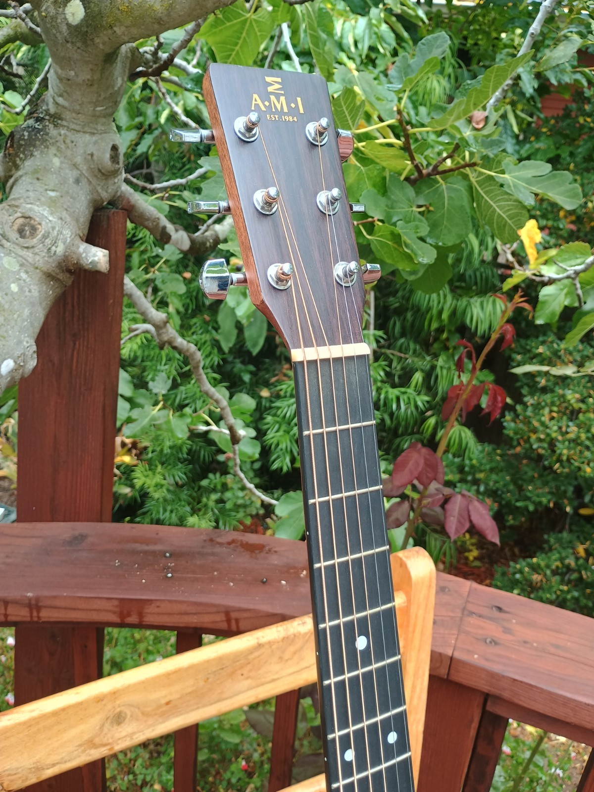 Chitarra acustica/elettrica AMI 000ME in ottime condizioni foto 3
