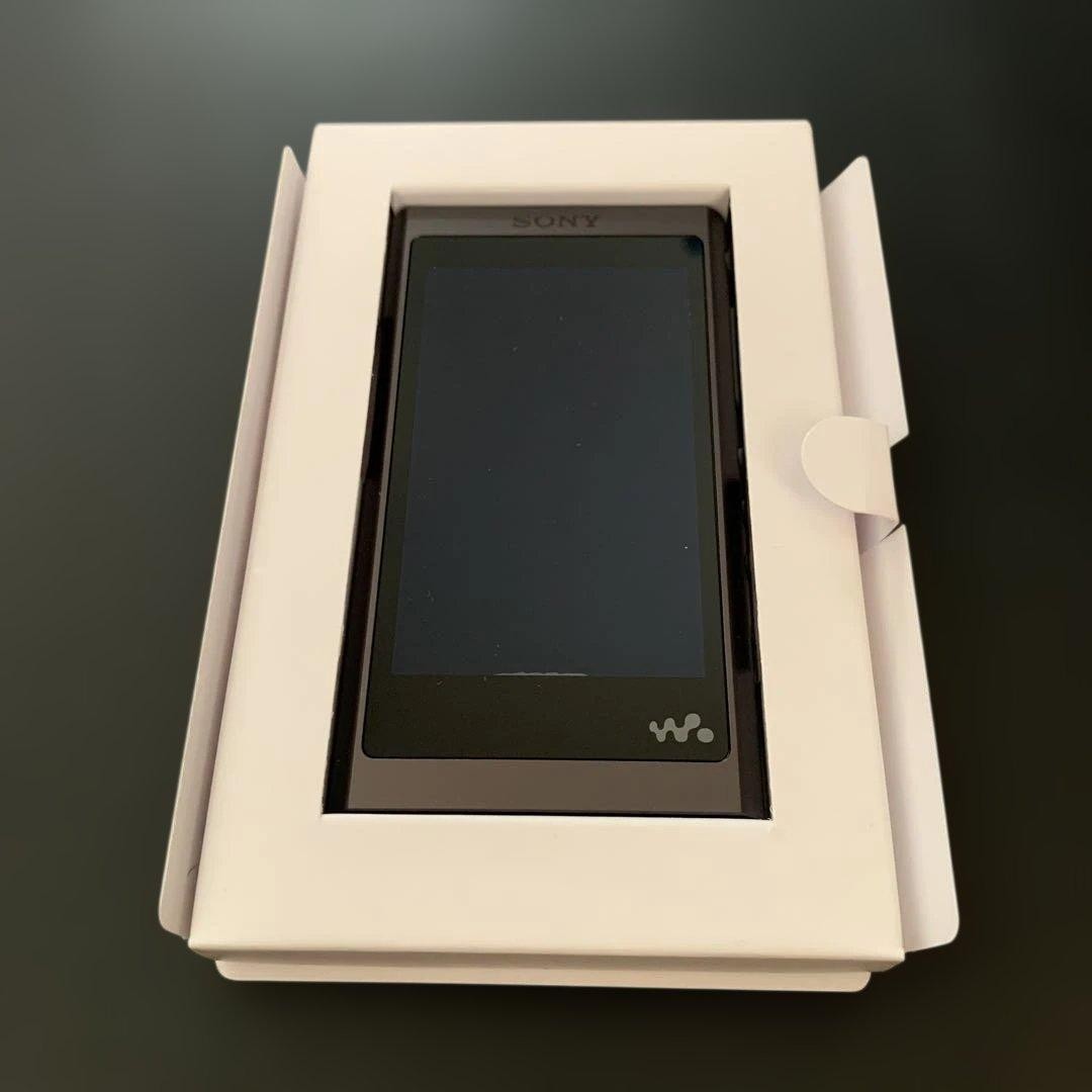 Sony Walkman NW-A55 | eBay