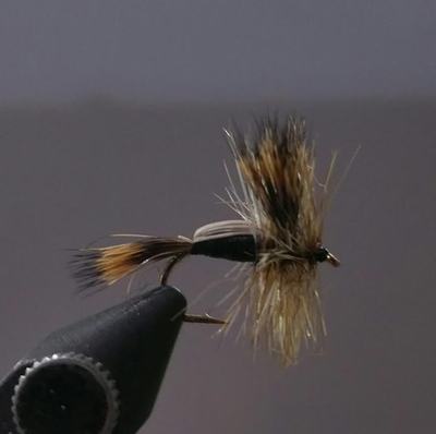 Dry Fly - Humpy 12 One Dozen Yellow