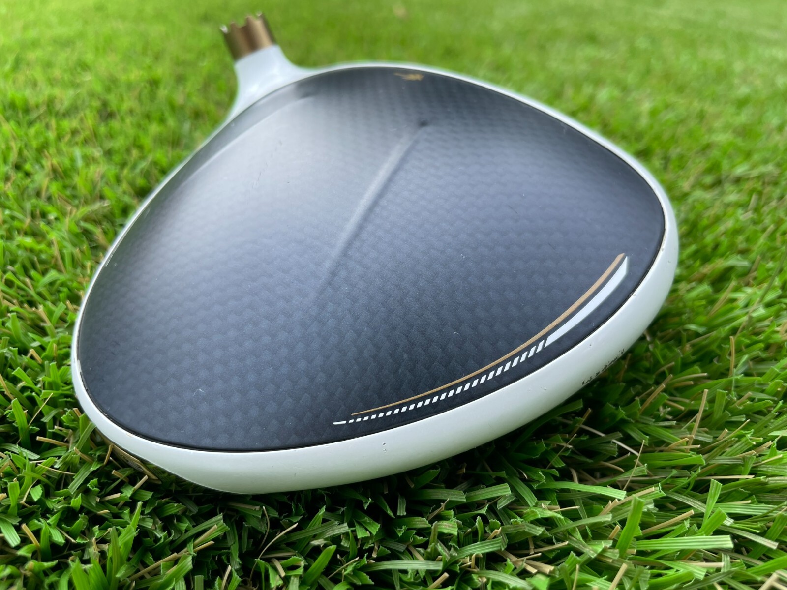 Cobra LTDx Palm Tree Limited Edition Driver Head Only With Head Cover