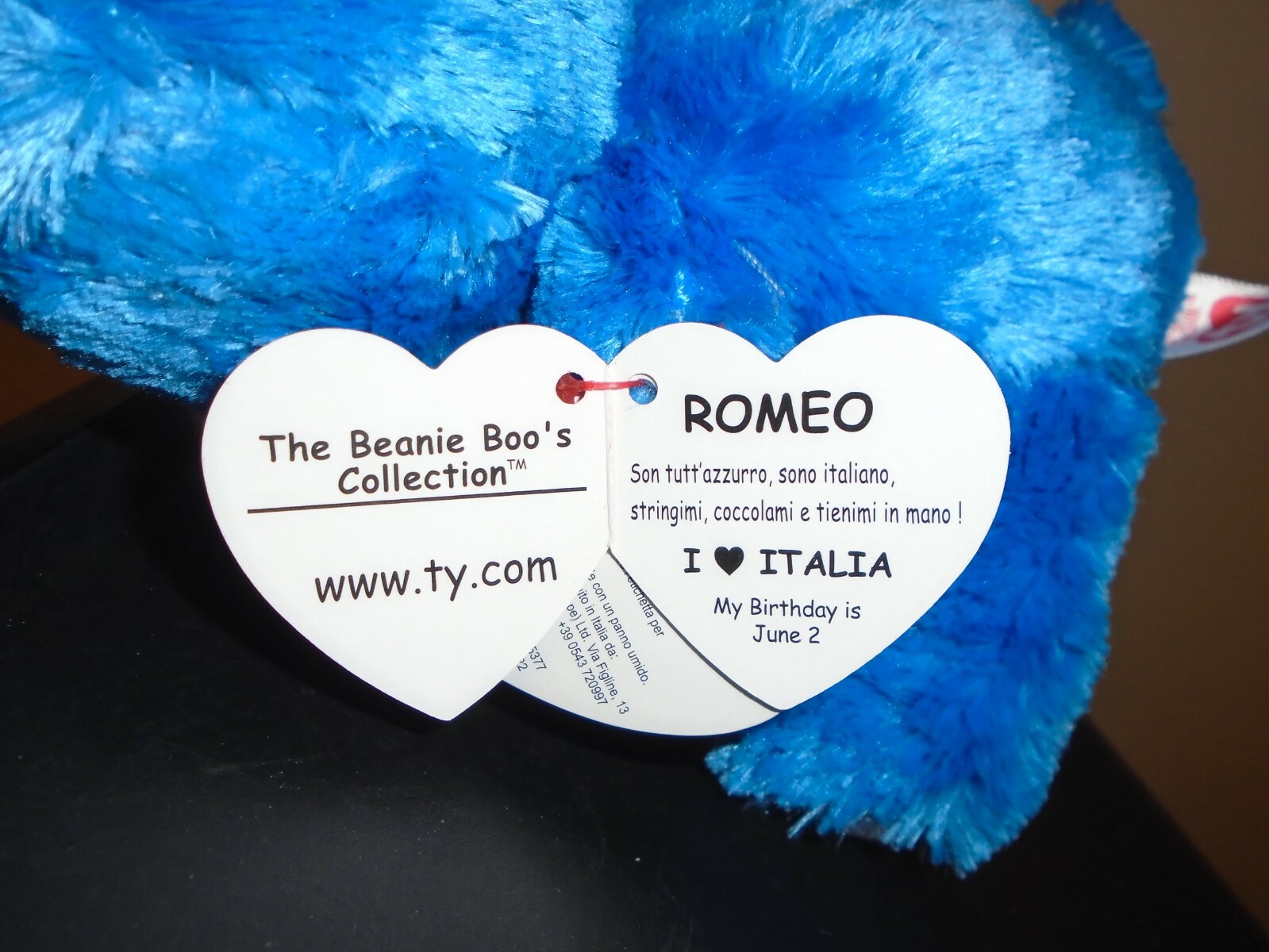 Ty Beanie Boos Set ~ ROMEO the Bear Italy Exclusive NEW /& RARE ODDITY IN HAND