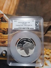 2023 Canada $30 Vantage Point Bald Eagle PR70 Signed By Susanna Blunt POP. 10