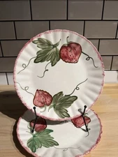 Blue Ridge Southern Pottery Berryville 9” Dinner Plate(s) Made In USA EUC