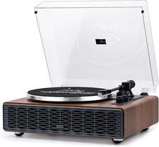 Annesburg Vinyl Record Player, Bluetooth Turntable with Built-In Speakers, High