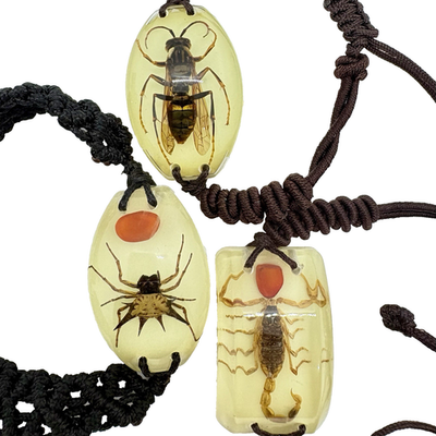 #ad Wasps Scorpion Spider Glow Bracelet in Resin Specimen Collection 3 pcs $32.99
