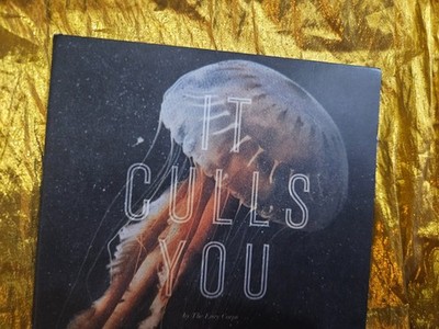 IT CULLS YOU by THE ENVY CORPS - the RARE CD - MAKE IT STOP GIVE Compact Disc !!