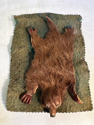 Antique Dollhouse Bear Rug Black Glass Eyes Bear Skin Miniature 6.25 x4.5 