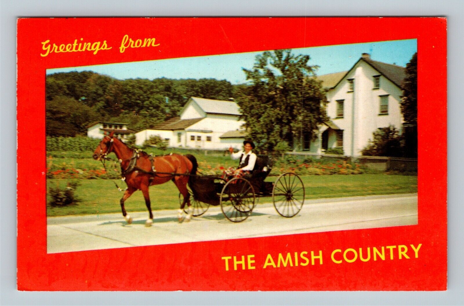 Lancaster PA Greetings Amish Riding In Buggy Pennsylvania c1969 Vintage