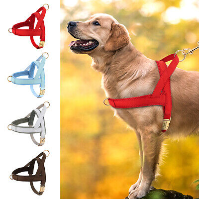 Pet chest strap with dog leash Pet chest strap with dog leash