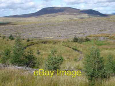 Photo 6x4 Clear Felling Afon Amnodd-bwll Beyond the loop in the River Amn c2007