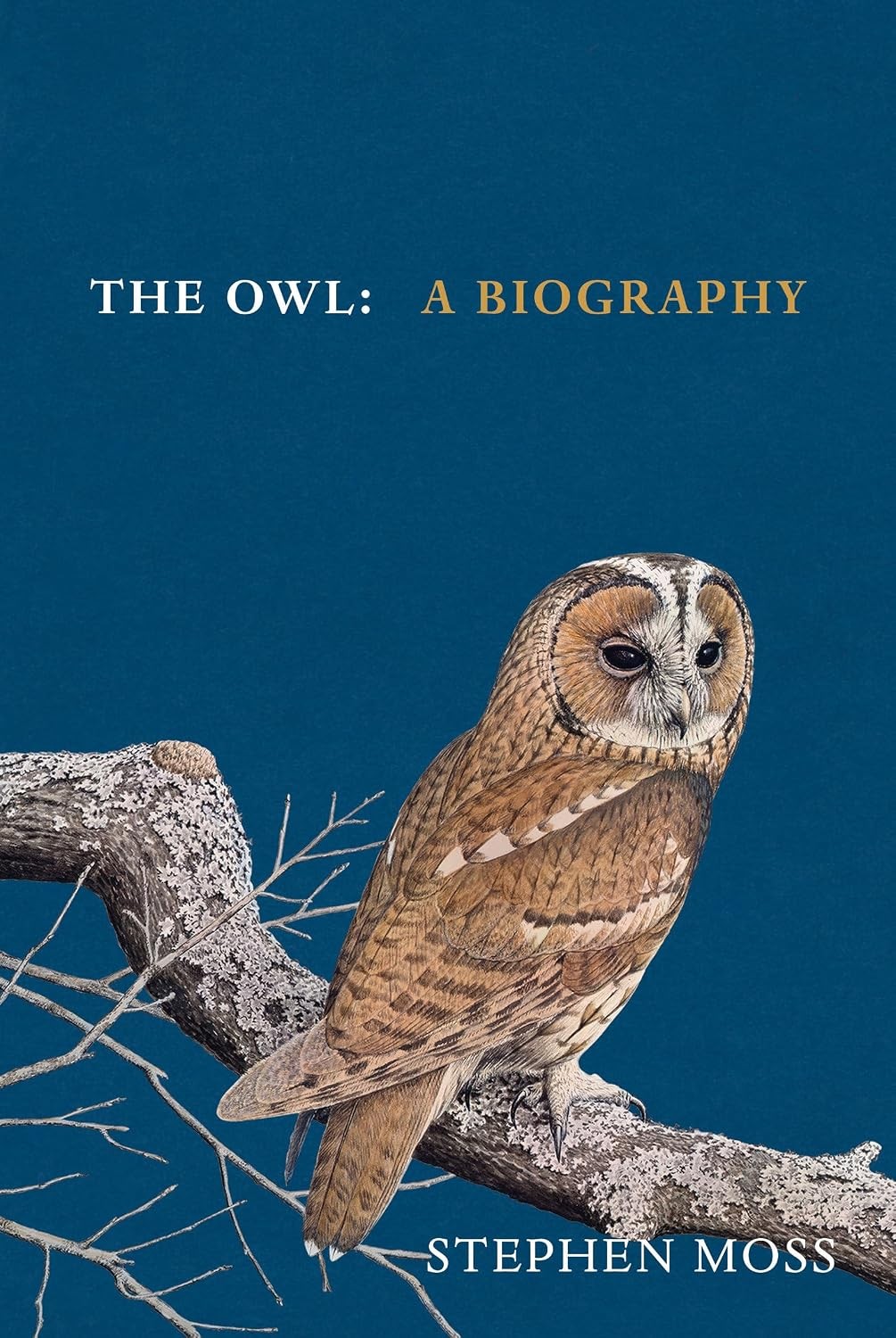 The Owl A Biography by Stephen Moss (Hardback Book) - Image 9
