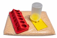 Quail Chick /Chicken Feeder & Drinker Bundle High Protein Starter Crumbs 29% 2kg