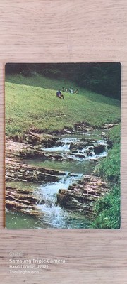 Postkarte Eves a Kepes Levelezölap Ungarn ungel_