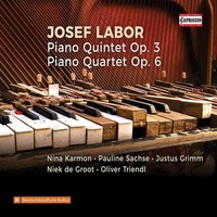 Audio Cd - Josef Labor - Piano Quintet Op. 3, Piano Quartet Op. 6 - Capriccio -