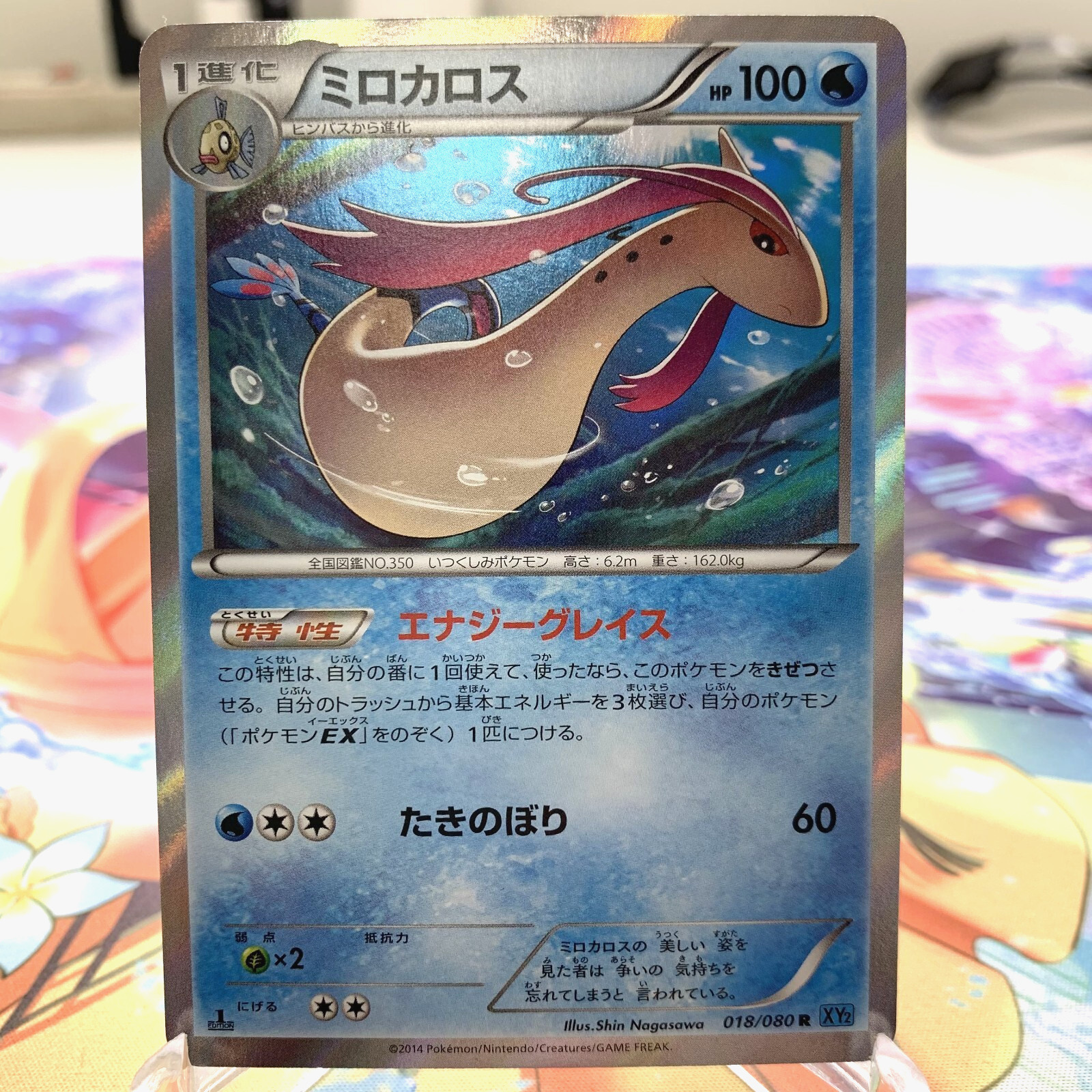Milotic 018/080 R Holo 1st Edition XY2 Japanese Pokemon Card ~ MP