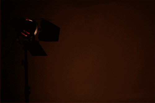 Dimmable 800W Redhead Light Studio Continuous Spot Lamp Tungsten Kit Photo Video - Picture 5 of 12