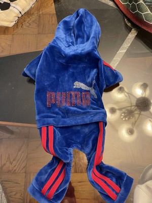 puma dog clothes