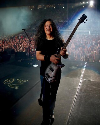Mike Inez - Alice In Chains Live Performance Poster, Music Poster Wall Art Decor
