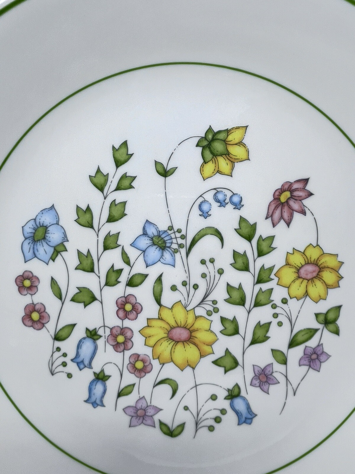 Corelle Meadow Dinner Plate 10-1/4" Green Trim Vitrelle
