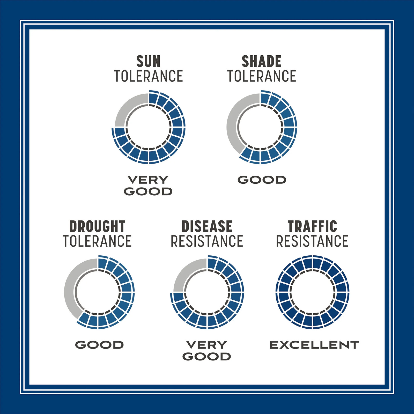 Kentucky Bluegrass Northern Grass Seed Mix, for Sun to Partial Shade, 7 Lb.