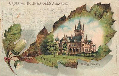 725641) greeting from oak leaf litho postcard Hummelshain near Schmölln used 1903