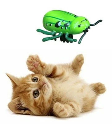 Katzen Spielzeug - elektrischer grüner Käfer - Spielspaß für die Katze