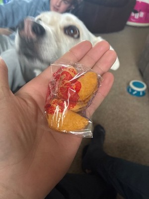 Rare Fortune Cookies Dual Pack In Great Condition Never Opened