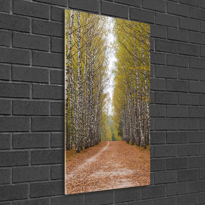 Wandbild Kunst-Druck auf Hart-Glas hochkant 50x100 Birkenwald