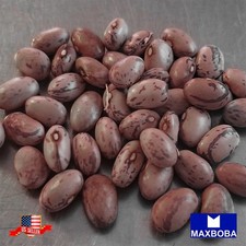 08 Bean Seeds Dwarf Horticulture Taylor Non-GMO Heirloom