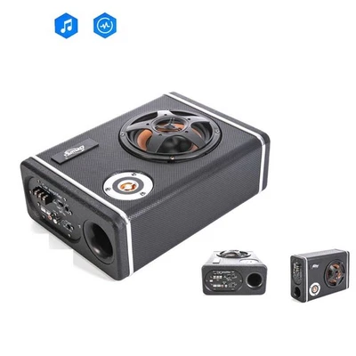 ROBERTAGOR DRIWEI SUBWOOFER AUTO CASSA AMPLIFICATA 4800W AUX MP3 AMPLIFICATORE STEREO 12V CTC-6630