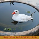 Bild 12 von 21