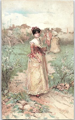 1880's Procter & Gamble Lenox Soap Lovely Lady Dress Victorian Trade Card P120
