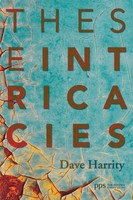 These Intricacies David Harrity Taschenbuch Kartoniert / Broschiert Englisch