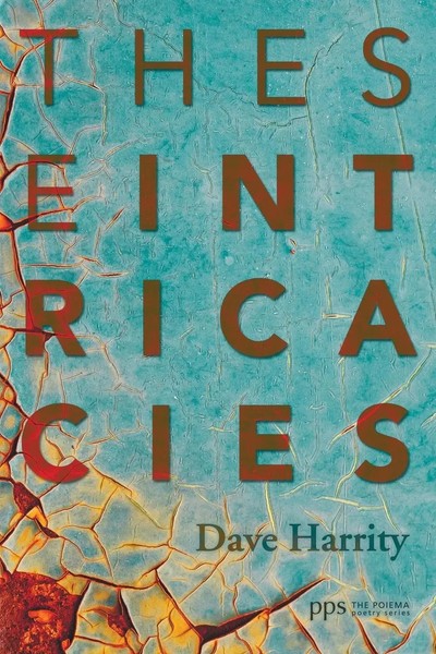 These Intricacies David Harrity Taschenbuch Kartoniert / Broschiert Englisch-image