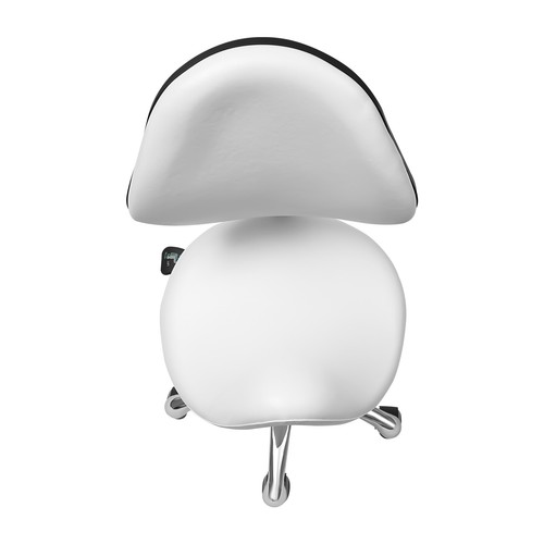 Ergolution Ergonomic Saddle Stool W/ Backrest -Work Stool,Office Stool-Seat - Picture 10 of 20