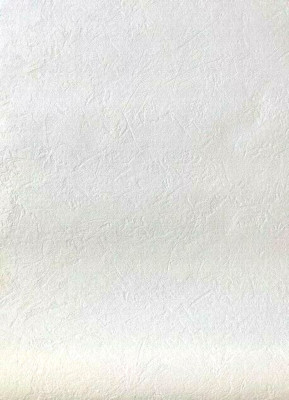 Brier Paintable Plaster Texture by Brewster  13248-10