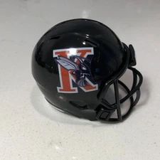 Kalamazoo Hornets custom pocket pro helmet D3 Division 3