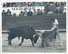 Foto de prensa matador con capa en taurina