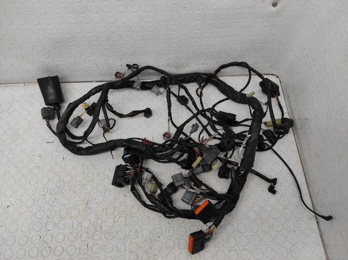 Installation Électrique Kawasaki Z750 2008 26031-0849 - Photo 1/6