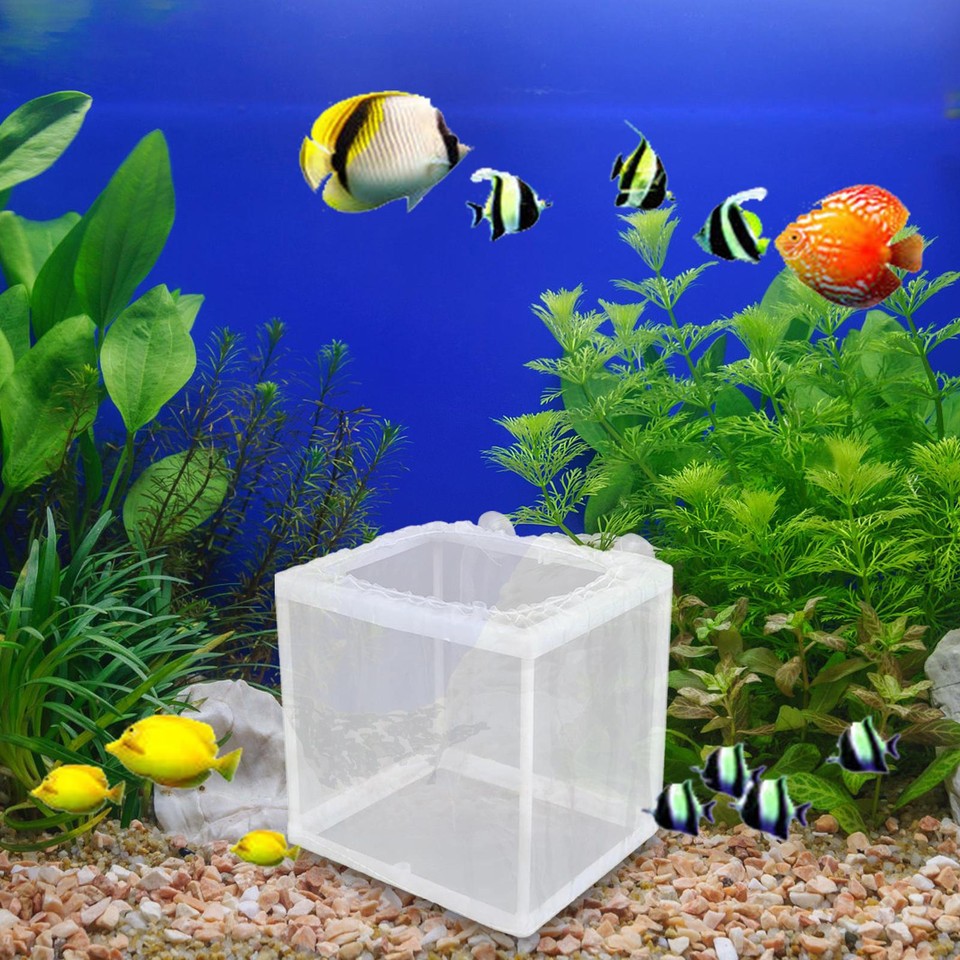 Aquarium Fish Tank Guppy Breeding Breeder Baby/Fry Net Trap Box