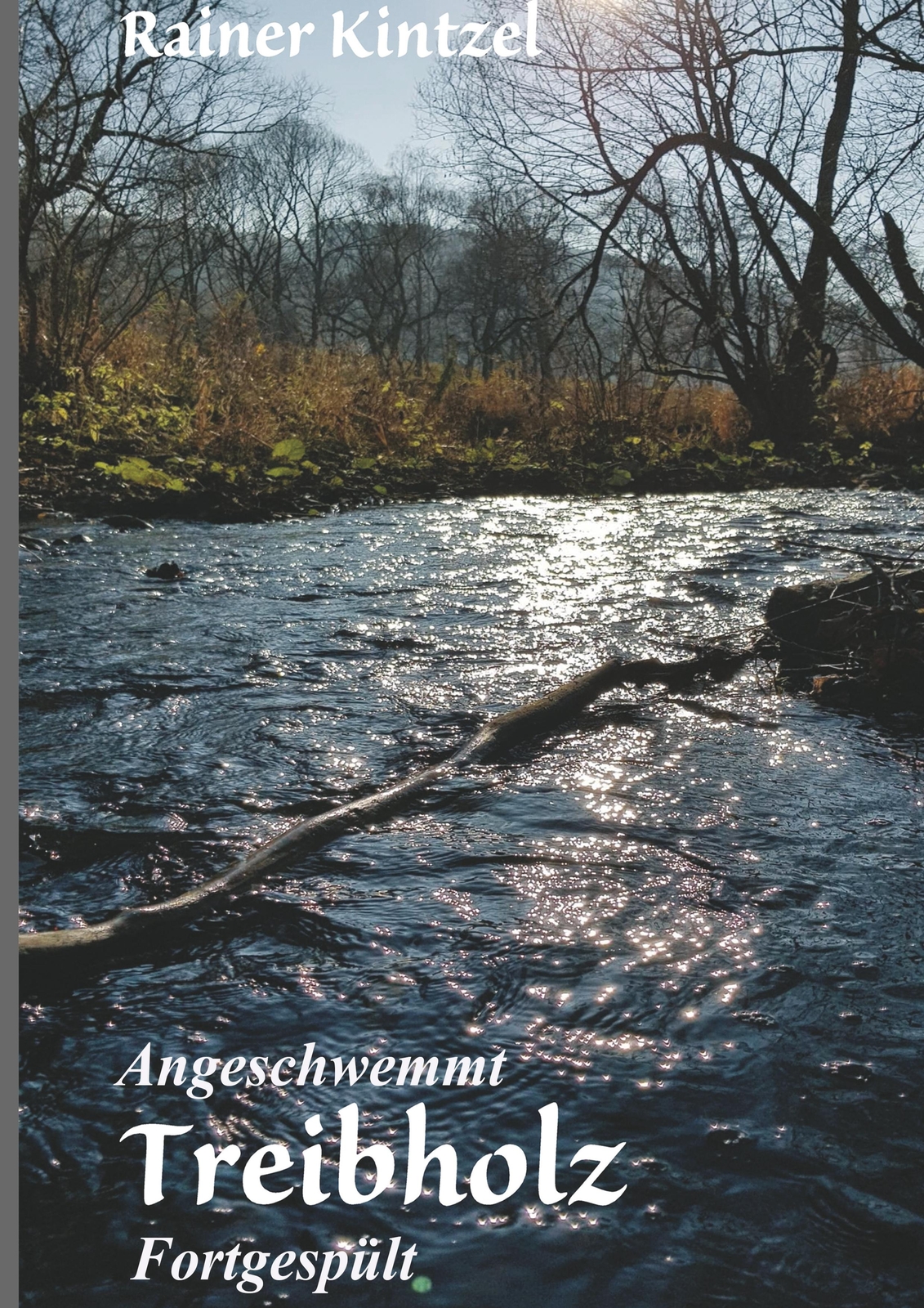 Thumbnail - Angeschwemmt - Treibholz | Buch | 9783748204015