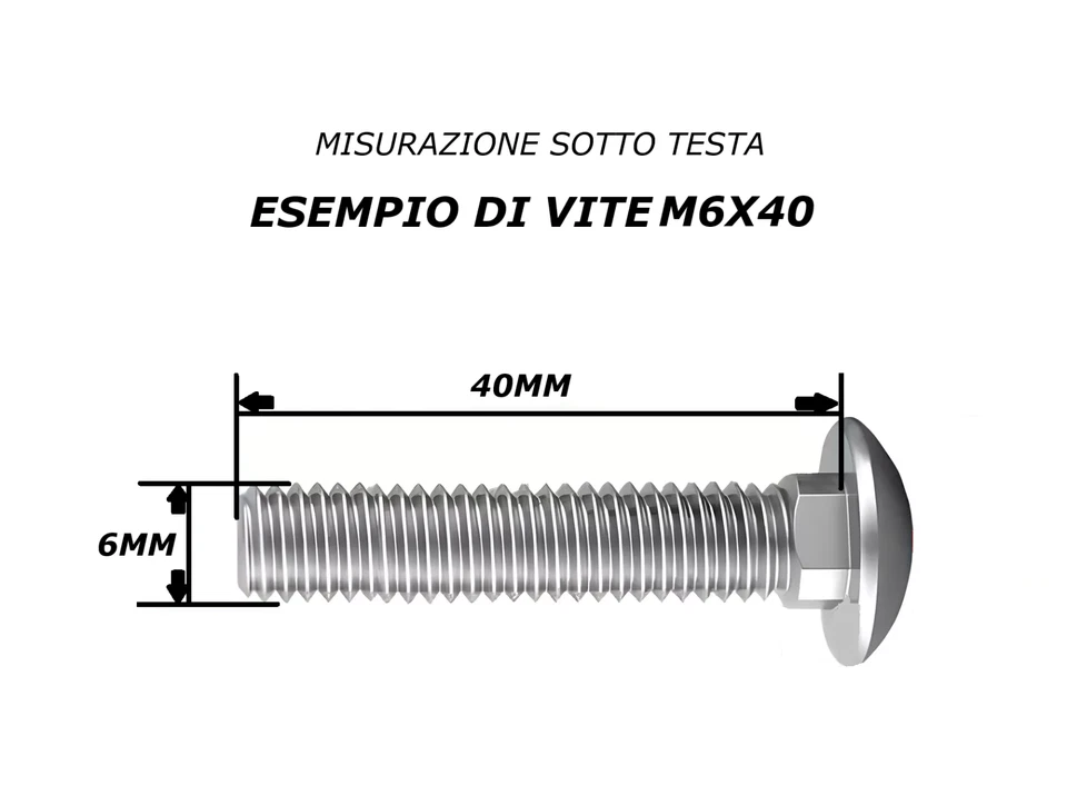 VITI M6 PERNI BULLONI IN ACCIAIO INOX TESTA TONDA QUADRO SOTTO TESTA 5732 DIN603 - Immagine 3 di 4