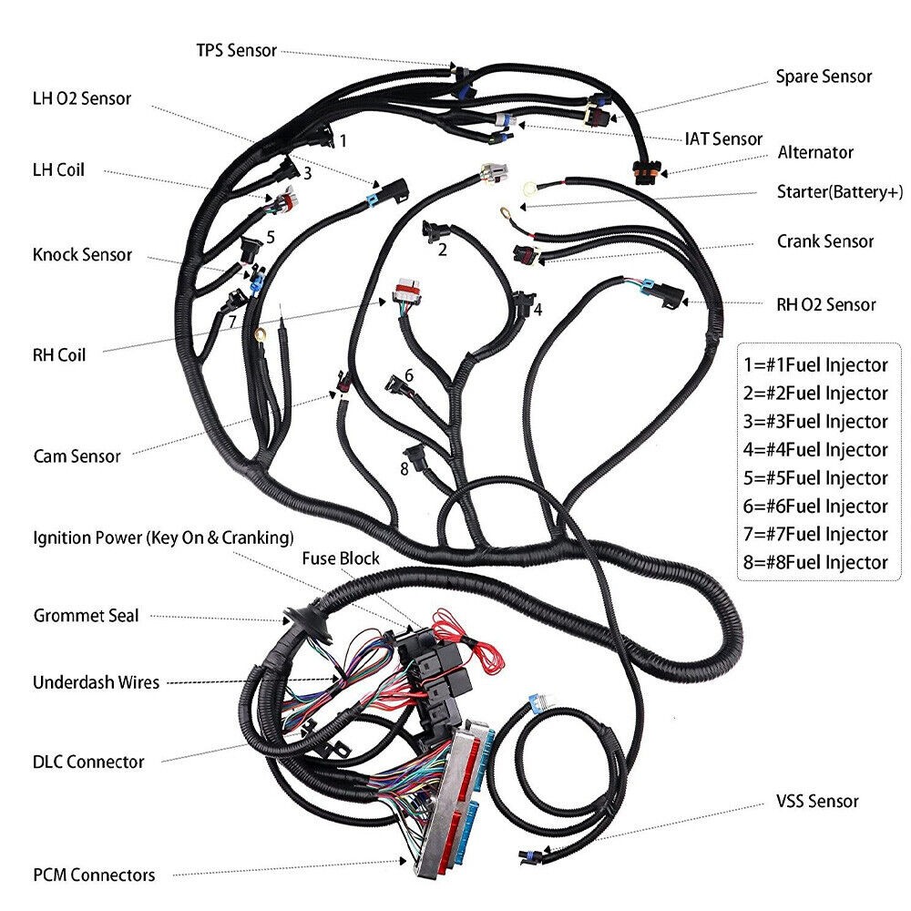 LS Swap LS1 Engine STANDALONE HARNESS T56 Manual Tran 4.8L/ 5.3L/ 6.0L 97-06 DBC