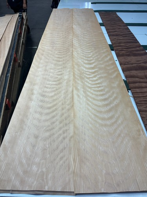#ad Euro Beech Raw Wood Veneer 2 sheets 100#x27;#x27; x 14#x27;#x27; 430Q $34.99