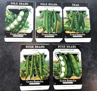 Vintage Seed Packets Set of 5 New Old Stock Peas and Beans Assortment NOS