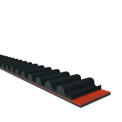 Cinghia Di Distribuzione D&D PowerDrive 2080-8M-20 Passo 8mm Larghezza 20mm