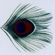 Apple Venus - Vol. 1 von XTC | CD | Zustand sehr gut