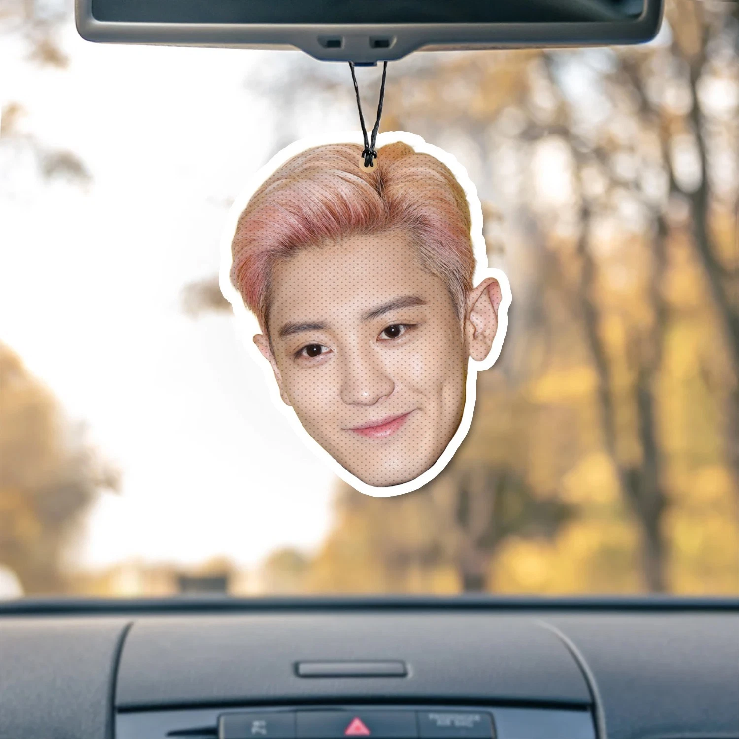 Chanyeol Unscented Hanging Car Air Freshener Freshie