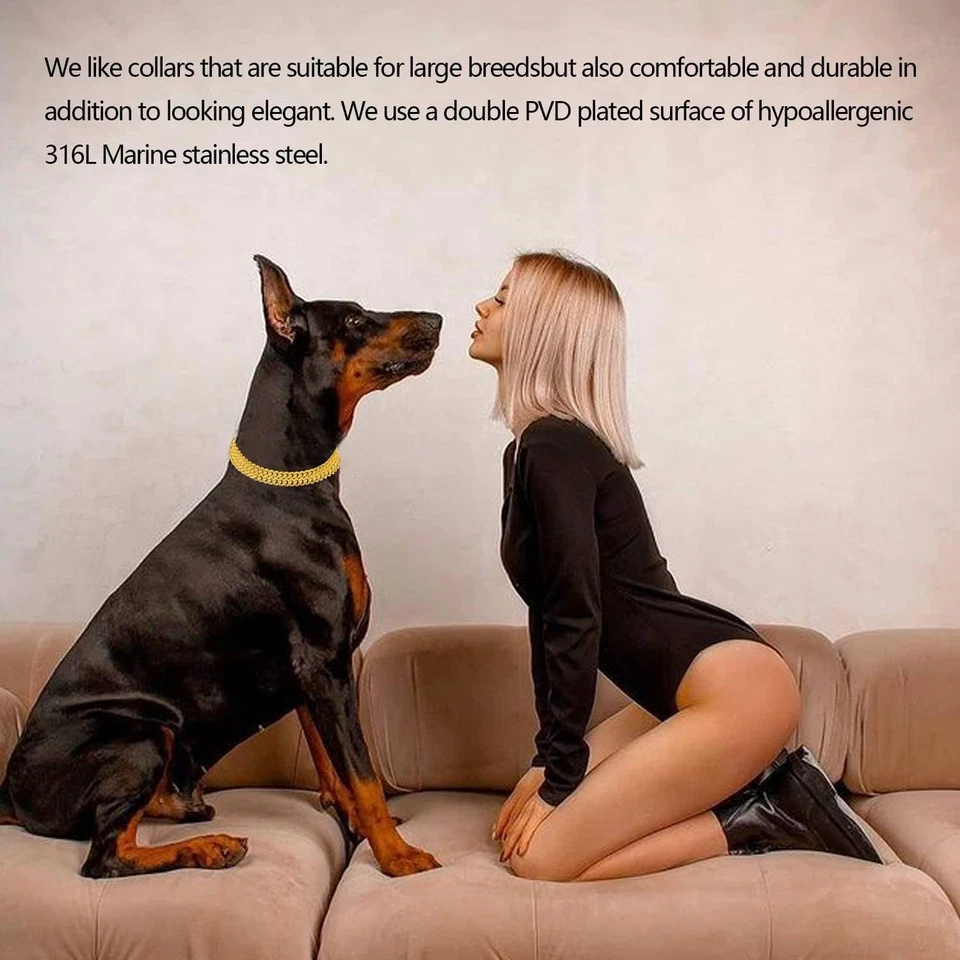 Collare a Catena per Cani in Oro 18 Carati, Regolabile, a Prova Di Masticazione, - Immagine 4 di 4